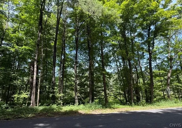 Photo 3 of Land for sale at 10145 Dustin Rd, Remsen, NY 13438 | MLS# S1699708 | Listing updated on 2026-07-18