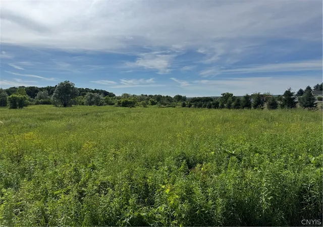 Photo 1 of Land for sale at Ives Rd, Marcy, NY 13403 | MLS# S1699730 | Listing updated on 2026-07-18