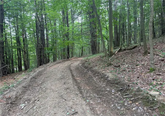 Photo 1 of Land for sale at 0 Ringwood Rd, Freeville, NY 13068 | MLS# R1699415 | Listing updated on 2026-07-18