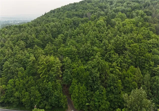 Photo 2 of Land for sale at 0 Ringwood Rd, Freeville, NY 13068 | MLS# R1699415 | Listing updated on 2026-07-18