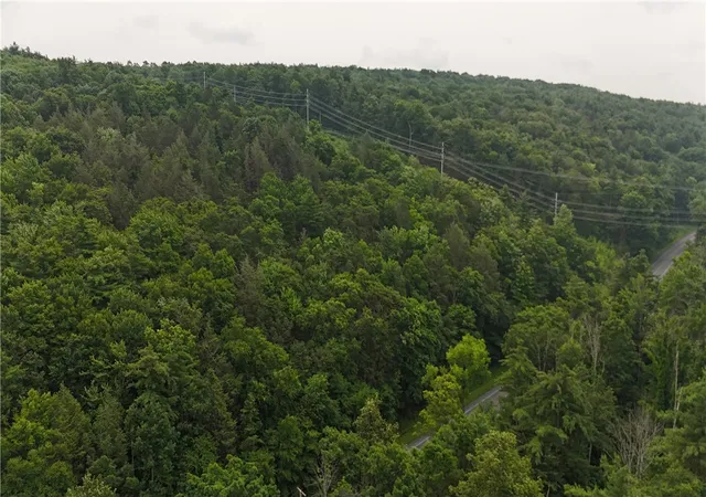 Photo 3 of Land for sale at 0 Ringwood Rd, Freeville, NY 13068 | MLS# R1699415 | Listing updated on 2026-07-18