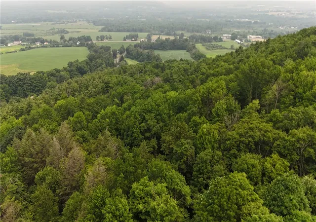 Photo 4 of Land for sale at 0 Ringwood Rd, Freeville, NY 13068 | MLS# R1699415 | Listing updated on 2026-07-18