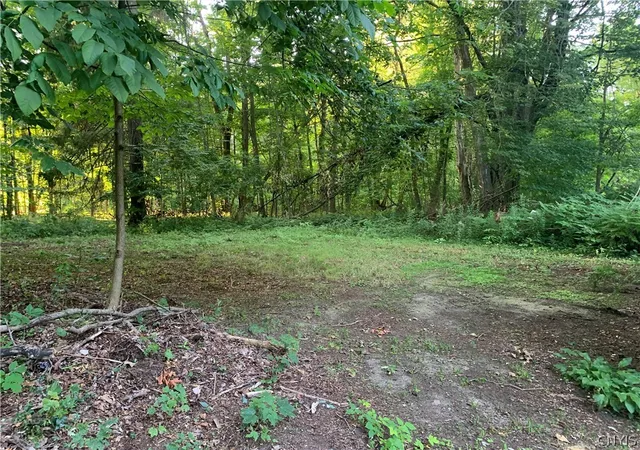25th image of 33 Clay St, Cleveland, NY 13042 | MLS# S1694397