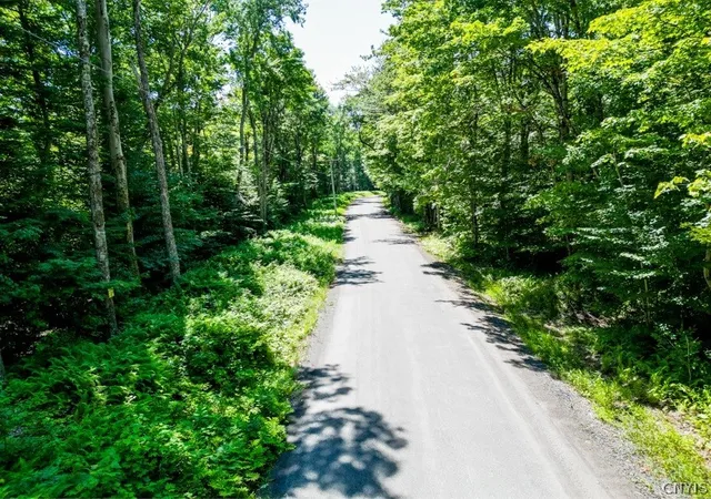 8th image of 0 Brady Beach, Cold Brook, NY 13324 | MLS# S1699953