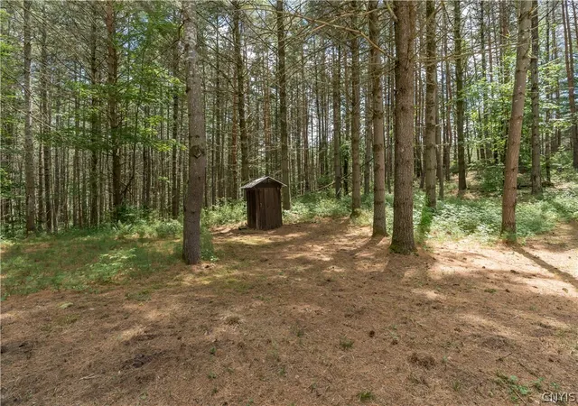 Photo 16 of Land for sale at 6368 George Hl Rd, Glenfield, NY 13343 | MLS# S1700005 | Listing updated on 2026-07-21