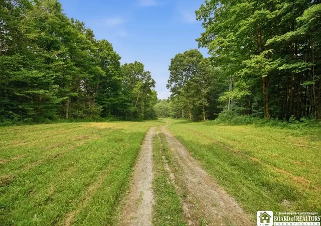 4th image of 0 Leach Hill Rd, Kennedy, NY 14747 | MLS# R1699849