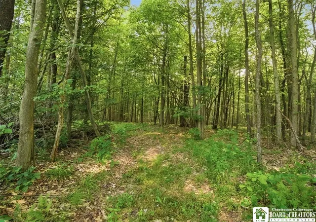5th image of 0 Leach Hill Rd, Kennedy, NY 14747 | MLS# R1699849