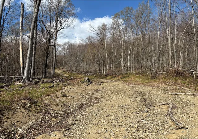 1st image of Hollenbeck Rd, Worcester, NY 12197 | MLS# R1679888
