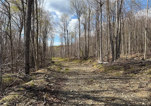 2nd image of Hollenbeck Rd, Worcester, NY 12197 | MLS# R1679888