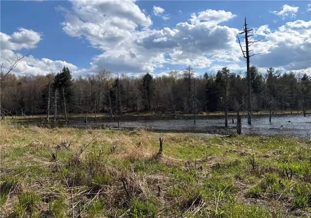 4th image of Hollenbeck Rd, Worcester, NY 12197 | MLS# R1679888