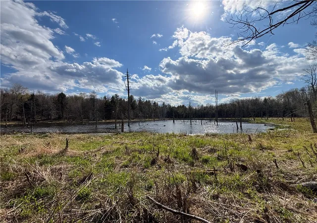 5th image of Hollenbeck Rd, Worcester, NY 12197 | MLS# R1679888