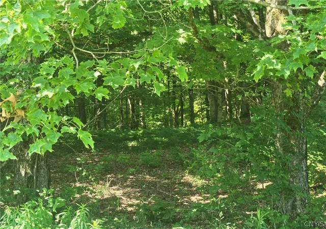 15th image of 1261 County Route 30, Altmar, NY 13302 | MLS# S1700051