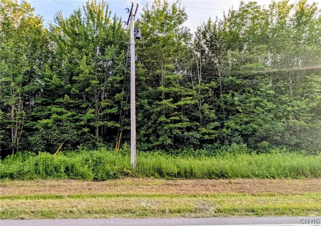 1st image of 0 Co Rt 28, Pulaski, NY 13142 | MLS# S1699413