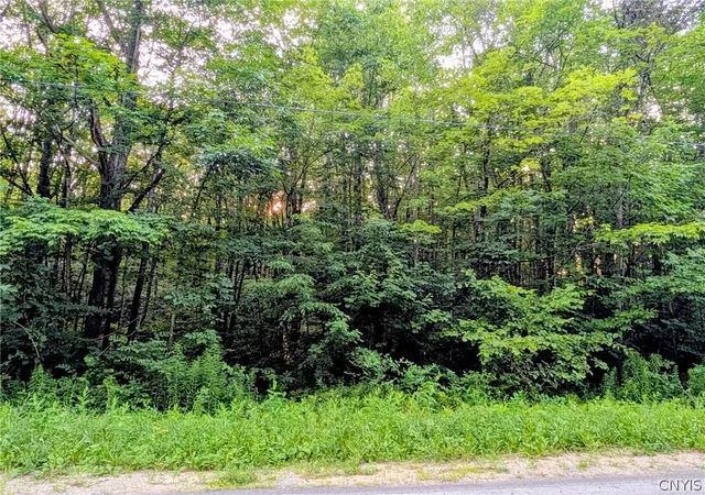 3rd image of 0 Co Rt 28, Pulaski, NY 13142 | MLS# S1699413