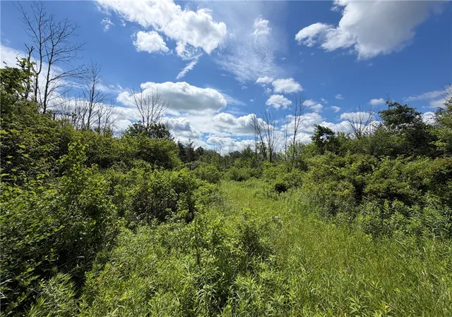 Photo 3 of Sale Pending at 0 Stockton Rd, Stockton, NY 14784 | MLS# R1699945 | Listing updated on 2026-07-28