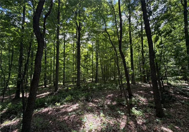 Photo 3 of Sale Pending at 0 Stockton Rd, Stockton, NY 14784 | MLS# R1699945 | Listing updated on 2026-07-28