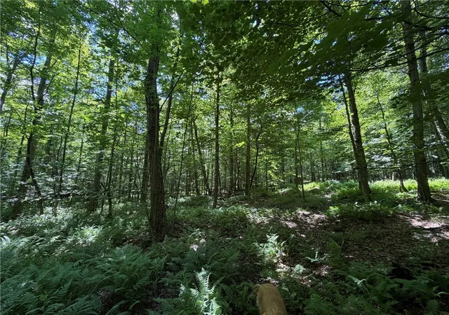 Photo 4 of Sale Pending at 0 Stockton Rd, Stockton, NY 14784 | MLS# R1699945 | Listing updated on 2026-07-28