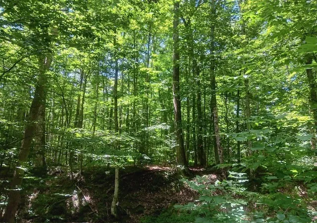 1st image of 357 Norton Road, Maryland, NY 12155 | MLS# R1698675