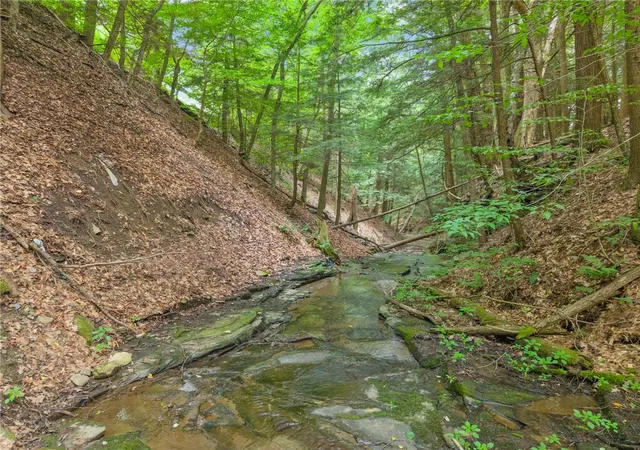 4th image of 171 Strong Hill Rd, Westford, NY 13488 | MLS# R1698507