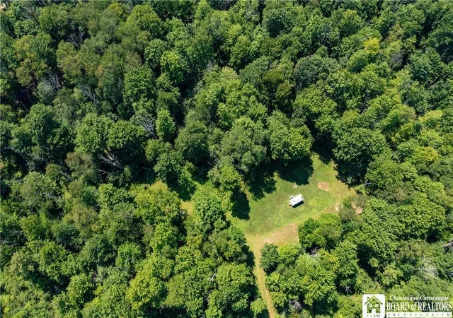 15th image of 3117 W Oak Hill Rd, Fluvanna, NY 14701 | MLS# R1700254