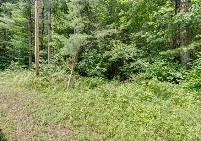 1st image of Stone Rd, Pitcairn, NY 13648 | MLS# S1700430