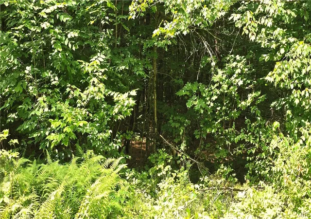 2nd image of Stone Rd, Pitcairn, NY 13648 | MLS# S1700430
