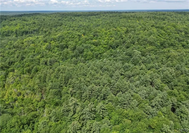 3rd image of Stone Rd, Pitcairn, NY 13648 | MLS# S1700430