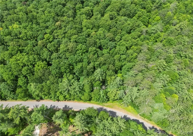 5th image of Stone Rd, Pitcairn, NY 13648 | MLS# S1700430