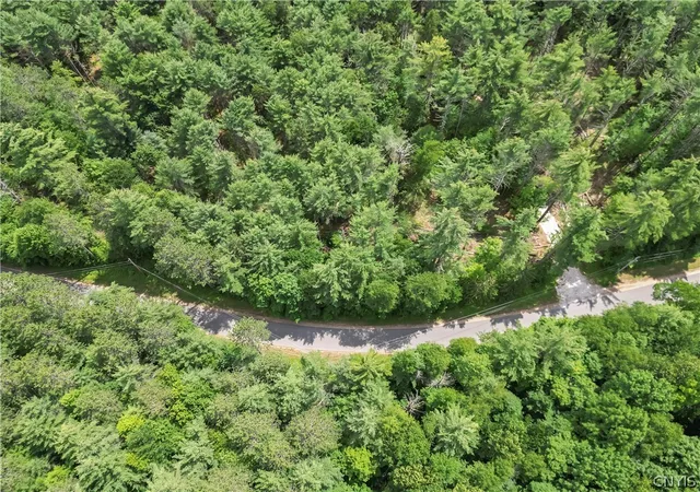 7th image of Stone Rd, Pitcairn, NY 13648 | MLS# S1700430