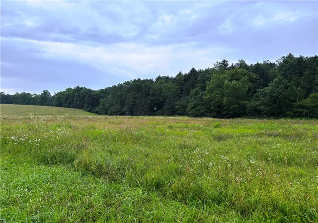Photo 2 of Land for sale at Lot #44 State Hwy 23, Harpersfield, NY 13786 | MLS# R1700506 | Listing updated on 2026-07-22