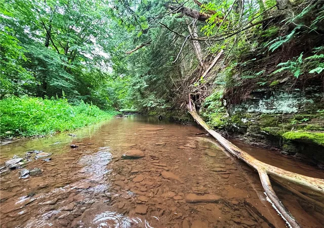 Photo 4 of House for sale at Lot #44 State Hwy 23, Harpersfield, NY 13786 | MLS# R1700506 | Listing updated on 2026-07-22