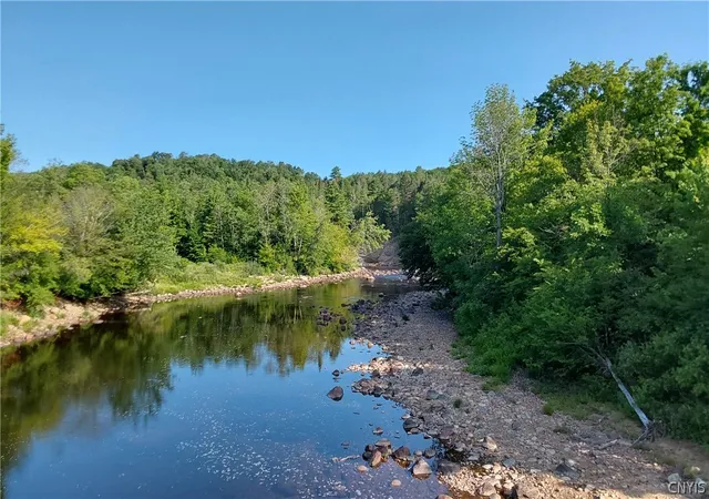 50th image of 359 Five Acre Ln, Cold Brook, NY 13324 | MLS# S1698723