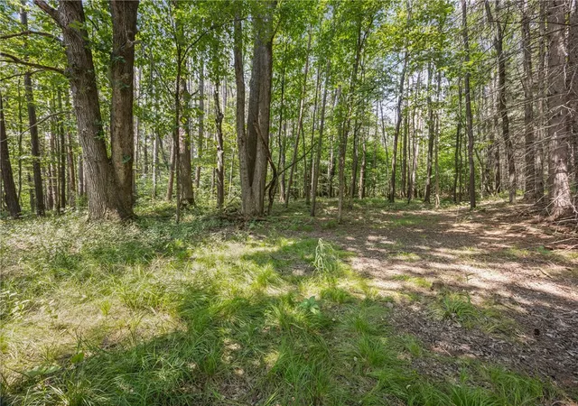 Photo 4 of Land for sale at 0000 Middle Rd, Angelica, NY 14709 | MLS# R1700597 | Listing updated on 2026-08-04
