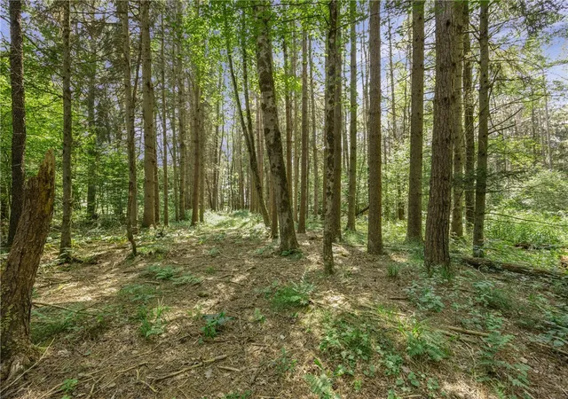 Photo 5 of Land for sale at 0000 Middle Rd, Angelica, NY 14709 | MLS# R1700597 | Listing updated on 2026-08-04