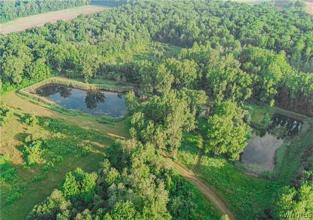 48th image of 3365 Ridge Rd, Cambria, NY 14131 | MLS# B1700518