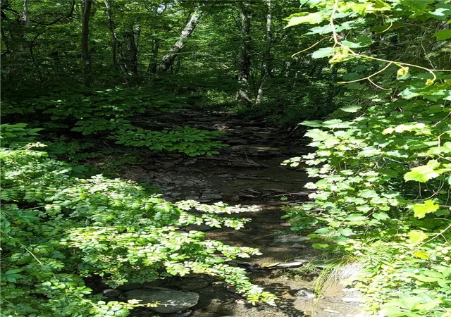 38th image of 1505 County Hwy 11, Laurens, NY 13810 | MLS# R1700717