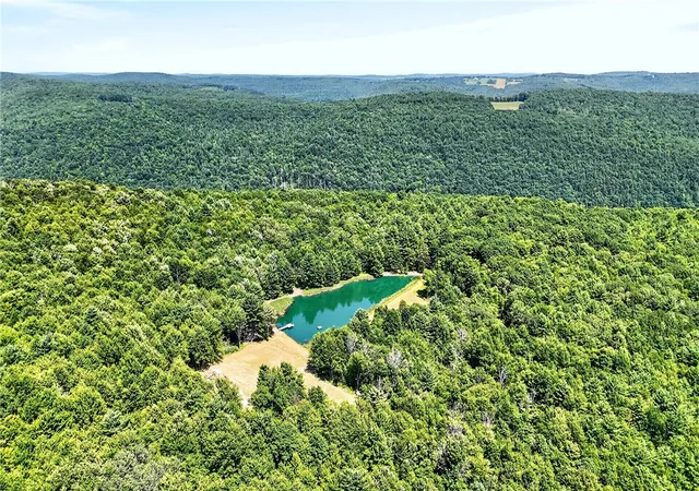 5th image of 319 Reniff Rd, Baldwin, NY 14859 | MLS# R1699779