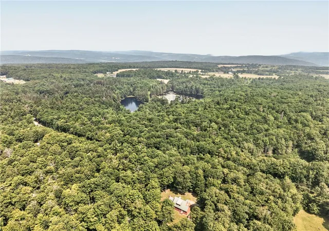 35th image of 409 Woodland Dr, Jefferson, NY 12093 | MLS# R1700724