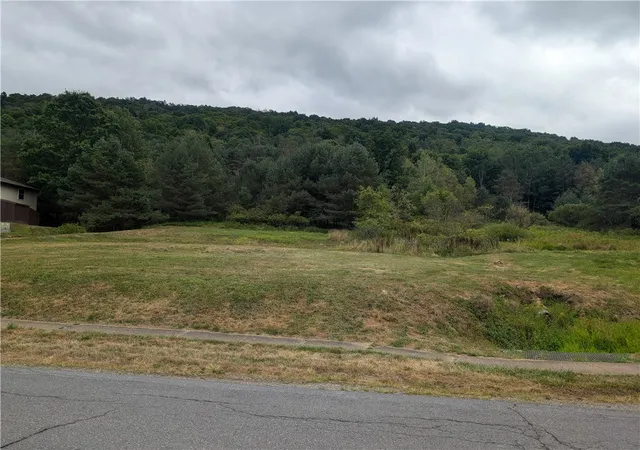 Photo 1 of Land for sale at 702 E Mill St, Port Allegany, PA 16743 | MLS# R1700673 | Listing updated on 2026-07-23