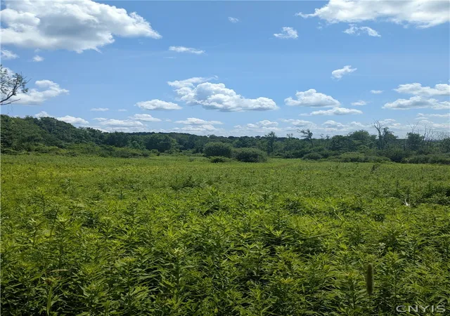 1st image of 00 Sulphur Springs Rd Rd, Newport, NY 13416 | MLS# S1700284