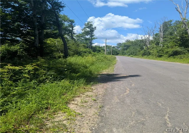 9th image of 00 Sulphur Springs Rd Rd, Newport, NY 13416 | MLS# S1700284