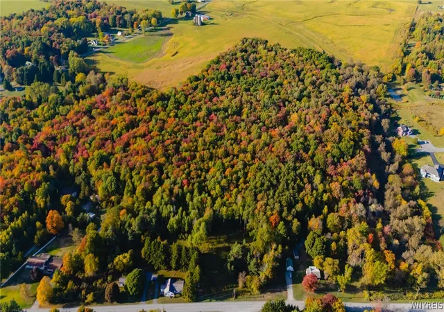 8th image of 14045 Military Rd, Sackets Harbor, NY 13685 | MLS# B1700780