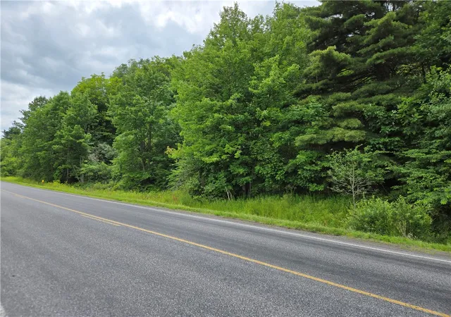 Photo 1 of Land for sale at 0 County Hwy 10, East Meredith, NY 13757 | MLS# R1700264 | Listing updated on 2026-07-23