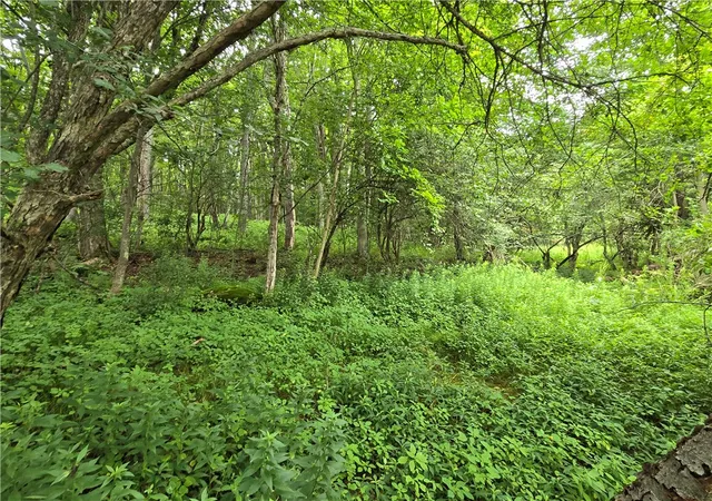 Photo 3 of Land for sale at 0 County Hwy 10, East Meredith, NY 13757 | MLS# R1700264 | Listing updated on 2026-07-23