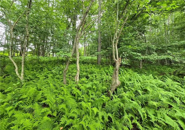 Photo 4 of Land for sale at 0 County Hwy 10, East Meredith, NY 13757 | MLS# R1700264 | Listing updated on 2026-07-23