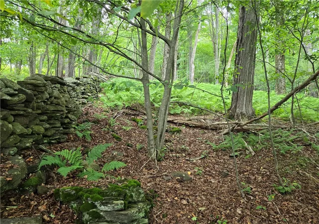 Photo 5 of Land for sale at 0 County Hwy 10, East Meredith, NY 13757 | MLS# R1700264 | Listing updated on 2026-07-23