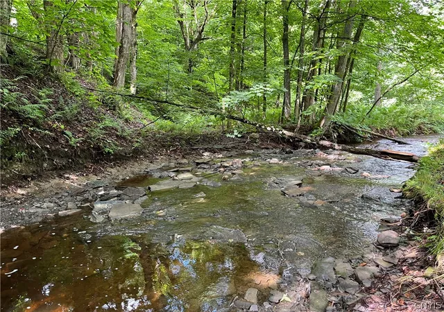 Photo 2 of Single family home for sale at 9657 Gardner Rd, Copenhagen, NY 13626 | MLS# S1700581 | Listing updated on 2026-07-24