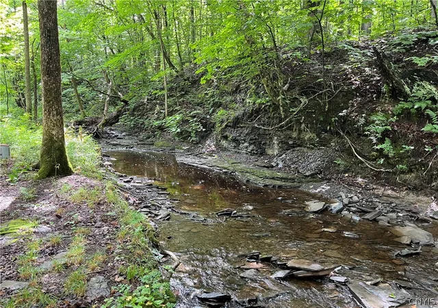 Photo 3 of Single family home for sale at 9657 Gardner Rd, Copenhagen, NY 13626 | MLS# S1700581 | Listing updated on 2026-07-24