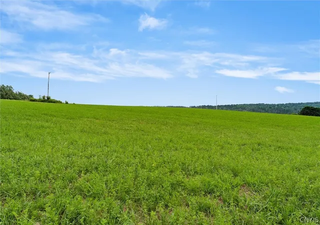 Photo 12 of Land for sale at Eatonbrook Rd, Nelson, NY 13061 | MLS# S1701185 | Listing updated on 2026-07-29