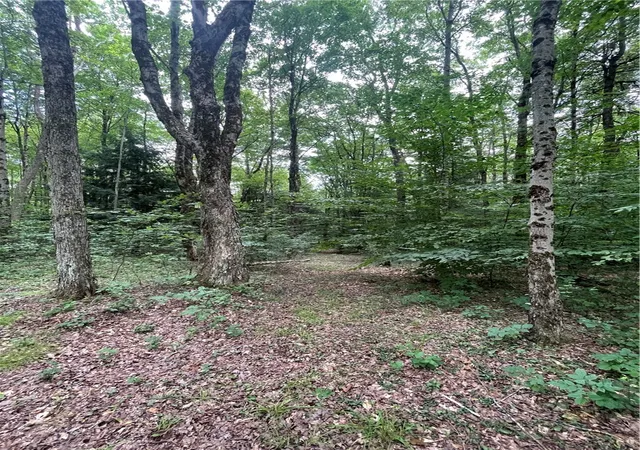 5th image of 619 Town Line Rd, Mc Donough, NY 13801 | MLS# R1700675